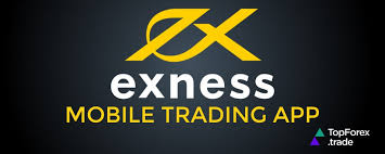Maximize Your Earnings with Exness Affiliate