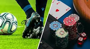 The Rise of bd222 bet Exploring the Future of Online Betting The Rise of bd222 bet Exploring the Future of Online Betting